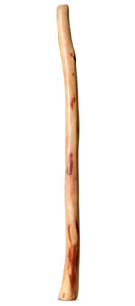 Medium Size Natural Finish Didgeridoo (TW1552)